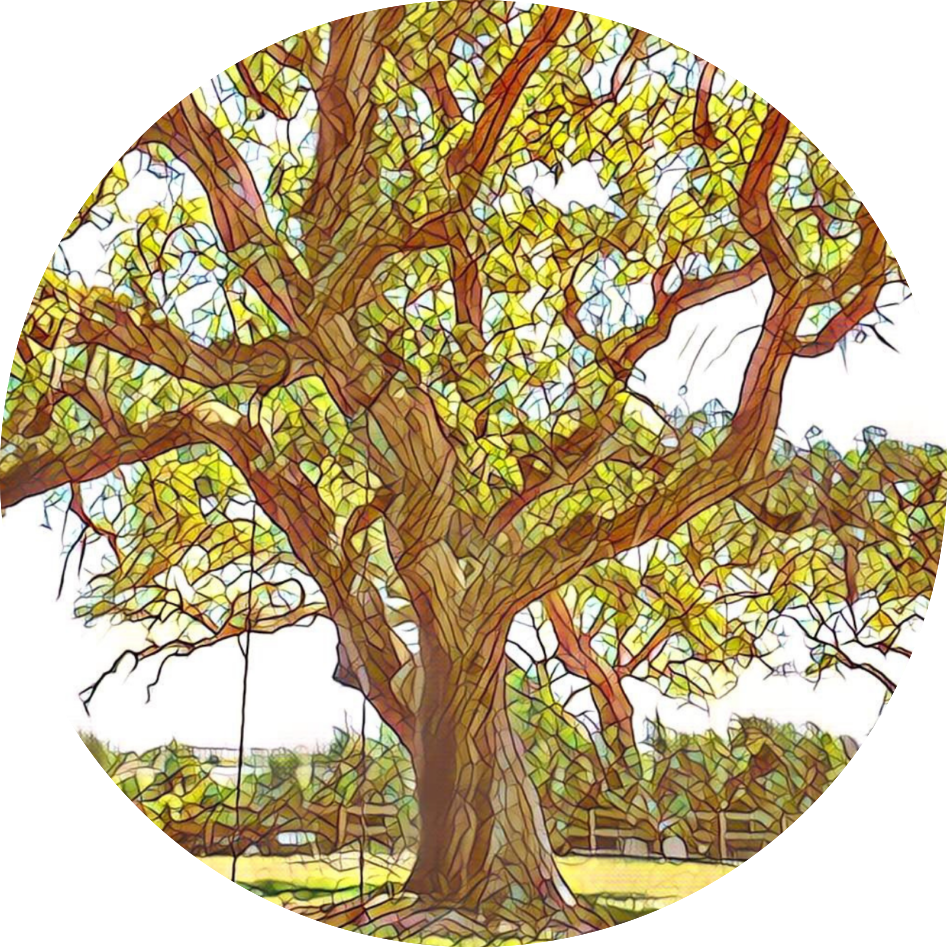 Footer Image